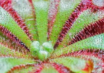 见能组什么词语(共62句)