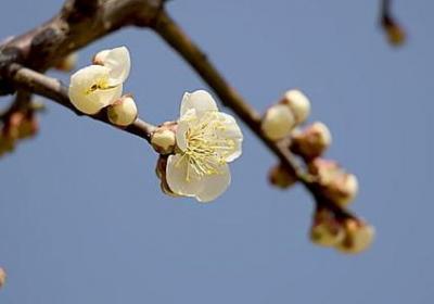 表达孤单的词语(优选70句)