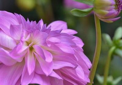 有关写作的名言(实用80句)