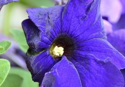 有关朋友的名言(共50句)