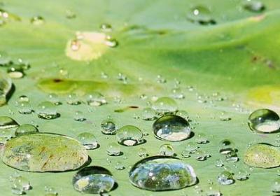 谭怎么组词语(共40句)