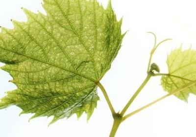 跳得什么填词语(精选160句)