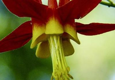 格局名言警句(热门80句) 格局名言警句(热门80句)