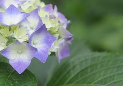 透可以组什么词语(精选13句)