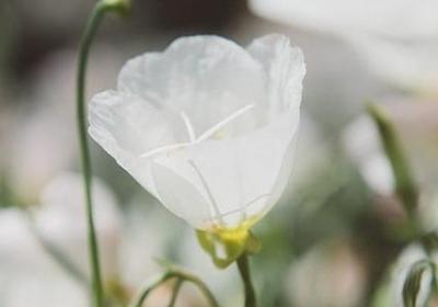 爱岗敬业名人名言(优选80句) 爱岗敬业名人名言(优选80句)