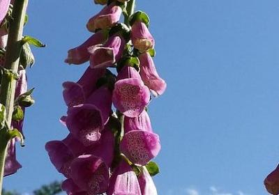 沟通交流的名言(热门50句) 沟通交流的名言(热门50句)