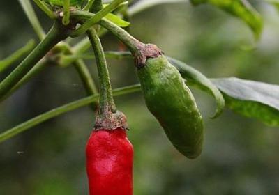 辉煌的什么填词语(8句)