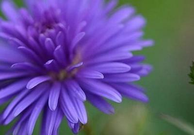 热爱劳动的名言(精选40句) 热爱劳动的名言(精选40句)