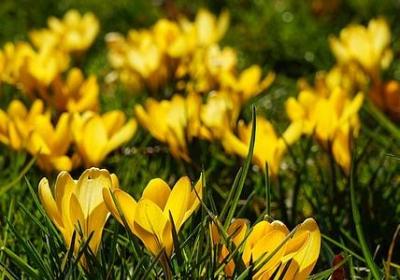 蹲能组什么词语(精选12句)