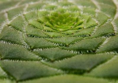 梅西名言英文(共20句)