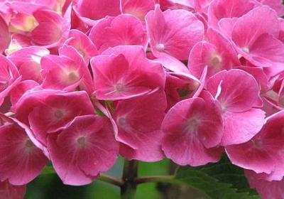 法律的名言警句(汇总60句)