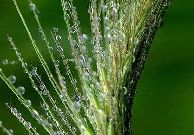 热爱自然的名言(共45句)