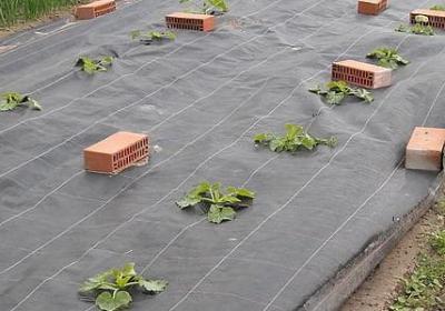 有志向的名言(热门50句)