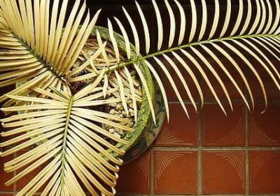 求知欲的名言(推荐80句)