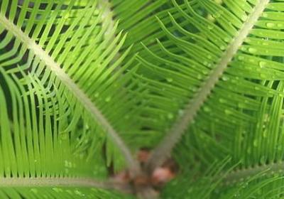 杨绛先生名言(合集80句) 杨绛先生名言(合集80句)