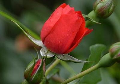 柯南名言日语(必备140句) 柯南名言日语(必备140句)