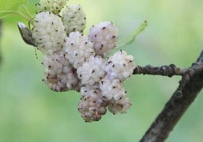 爱心的名人名言(80句)