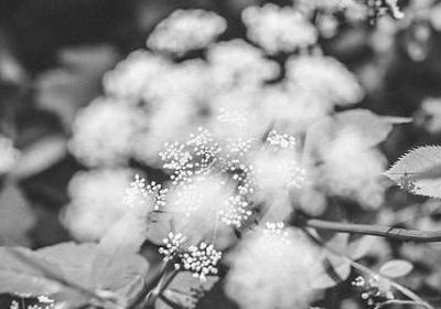 爱国主题名言(精选60句)