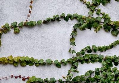 父爱母爱名言(合集20句) 父爱母爱名言(合集20句)