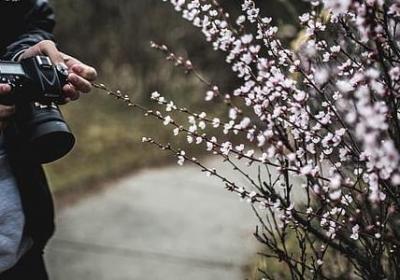 玄幻小说名言(30句)