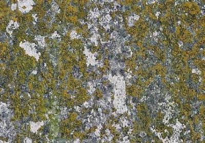 珍爱生命名言(共80句)