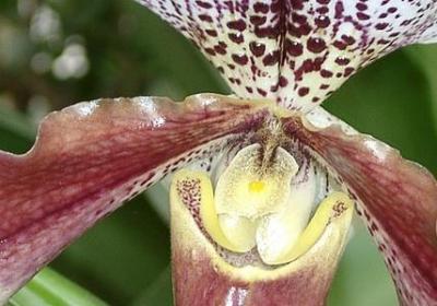 母爱的名言诗句(优选50句)