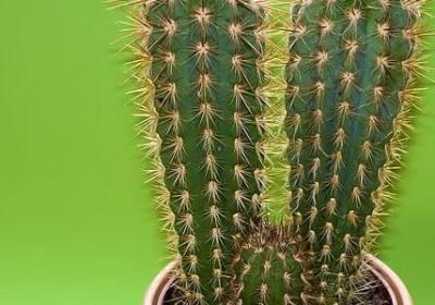 理解的名言警句(汇总99句)