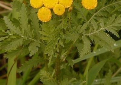 独立思考的名言(实用80句)