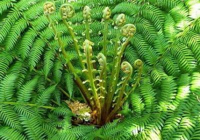 父爱的名言名句(优选60句)