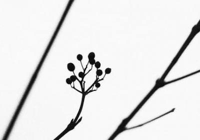 有哲理性的名言(40句)