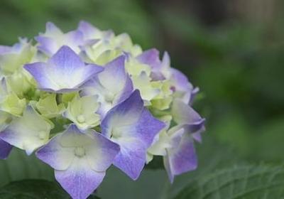 有关镜子的名言(必备80句)