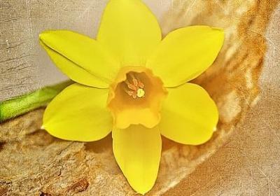 生命短暂的名言(推荐50句)