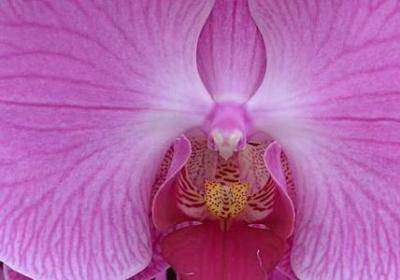 英语名人名言100句(通用50句)