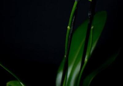 描写秋天的词语和句子(推荐71句)