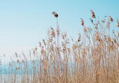 敏可以组什么词语(合集39句) 敏可以组什么词语(合集39句)