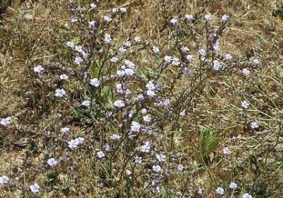 描述冬的词语(推荐70句) 描述冬的词语(推荐70句)