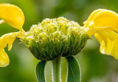 描写铃声的词语(优选42句) 描写铃声的词语(优选42句)