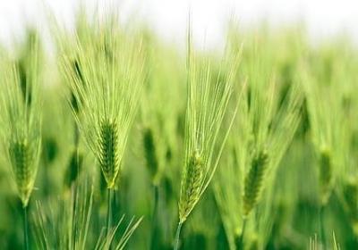 日什么天什么的词语(实用61句)