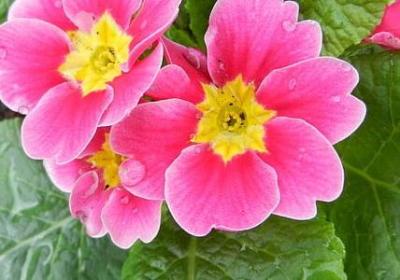 描写说的词语(50句)