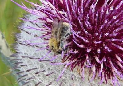 描写瞧不起人的词语(70句) 描写瞧不起人的词语(70句)