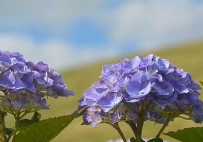 描写月光的四字词语(合集40句) 描写月光的四字词语(合集40句)