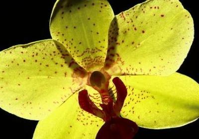 斗加偏旁组词语(共40句) 斗加偏旁组词语(共40句)