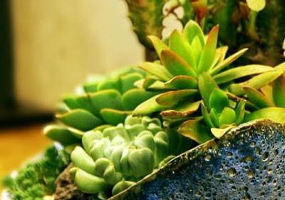 毅能组什么词语(汇总20句)