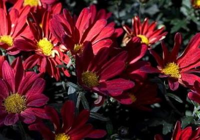 有关气候的词语(通用42句)