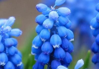 术开头的词语(必备40句)