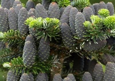 有个性的词语两个字(精选50句)