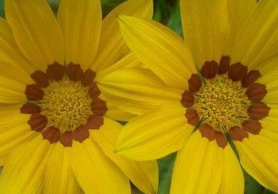 涧怎么组词语(推荐61句)