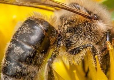 注可以组什么词语(通用11句)