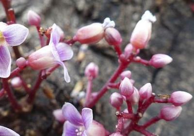 现在进行时标志性词语(合集10句)