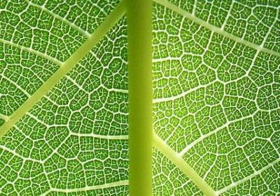 淅换偏旁组词语(推荐80句)